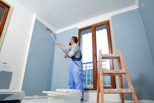 Best Mold Damage Restoration  in Ligonier, IN