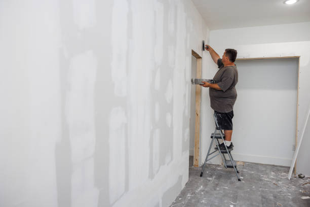 Best Water Damage & Mold Remediation  in Ligonier, IN