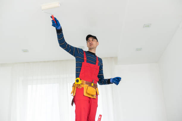 Best Attic Mold Removal  in Ligonier, IN