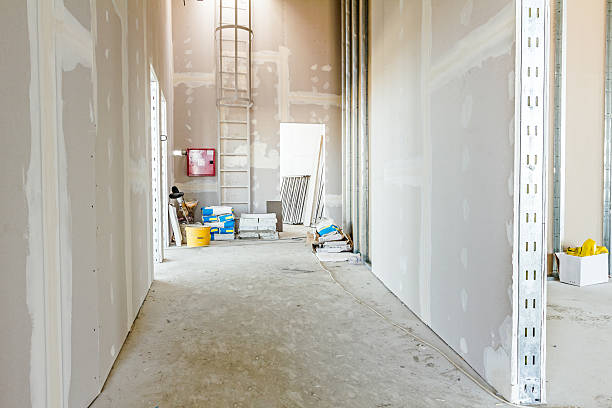 Best Post-Construction Mold Inspection  in Ligonier, IN
